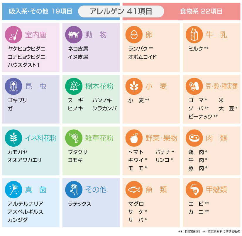 検査項目
